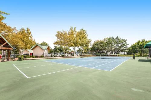 Bear Trap --- 45b Willow Oak Avenue