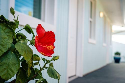 Hotel Salt Air Inn & Suites