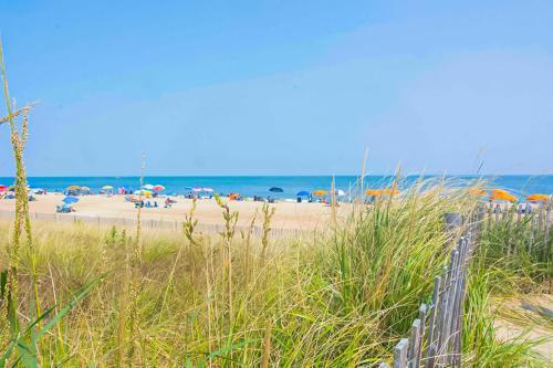 Tower Shores -- 39565 West Admiral