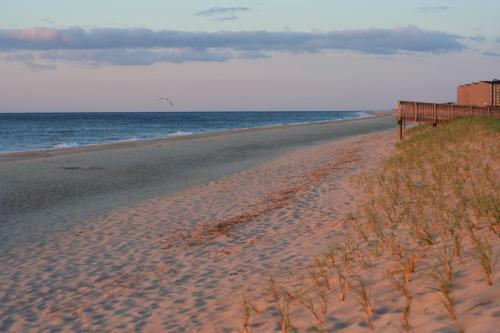 Sea Colony --- 3204 Round Robin