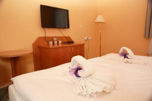 Hostal Wellness Penzion Krom??�? - Zlobice