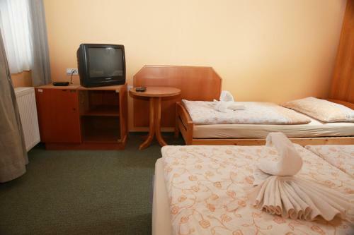 Hostal Wellness Penzion Krom??�? - Zlobice