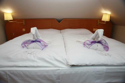 Hostal Wellness Penzion Krom??�? - Zlobice