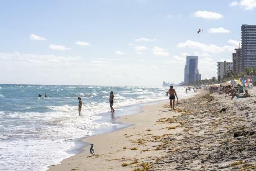 Beachfront Modern Oceanview 2br Apt - Hyde Resort
