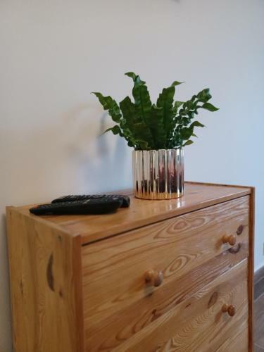 Apartm�n Krkono?e