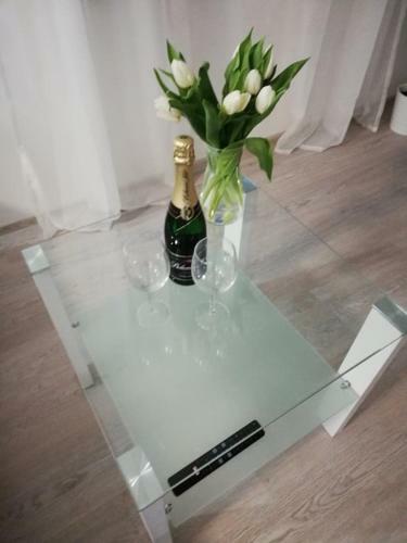 Apartamento Penzion U Hor�k?