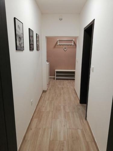 Apartamento Penzion U Hor�k?