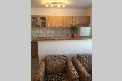 Apartm�n Se Zahradou V Protiv�n? ?.2
