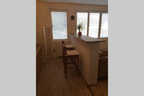 Apartm�n Se Zahradou V Protiv�n? ?.2