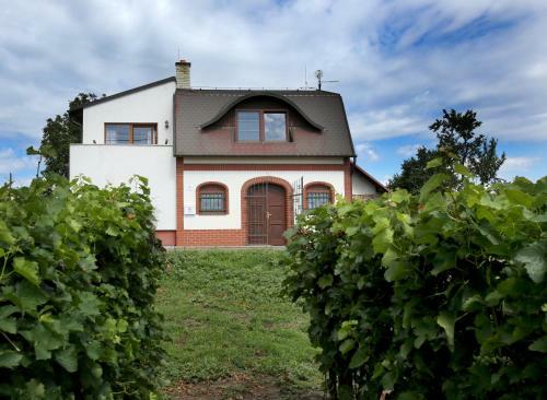 Villa Ubytov�n� U Vysko?il?
