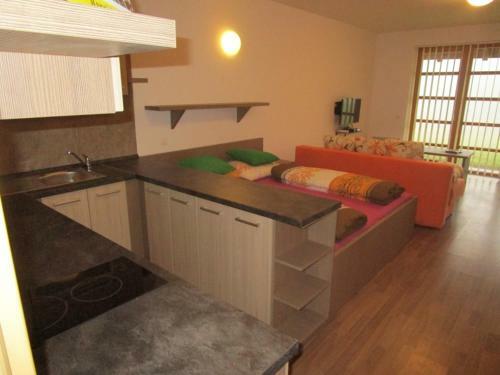 Apartm�n ?�?ky V Orlick�ch Hor�ch