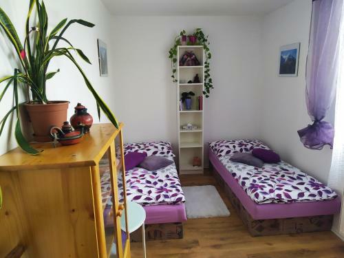 Villa House Of Relax