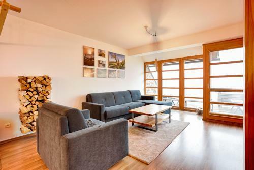 Horsk� Apartm�n U Lesa ?�?ky