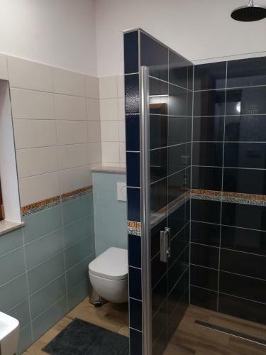 Apartm�ny U Holub?