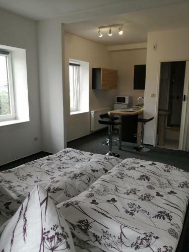 Hotel Apartmen Faraon 1
