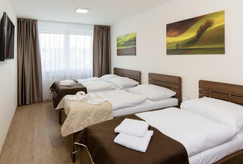 Hostal Penzion U Bu?t�k?