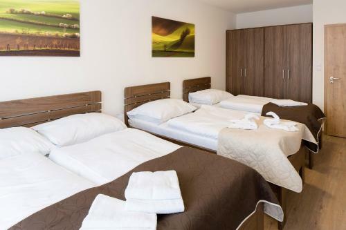 Hostal Penzion U Bu?t�k?