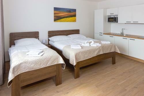 Hostal Penzion U Bu?t�k?
