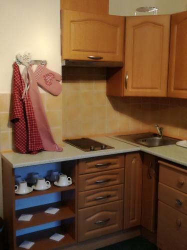 Hostal Penzion Skicentrum Studenov