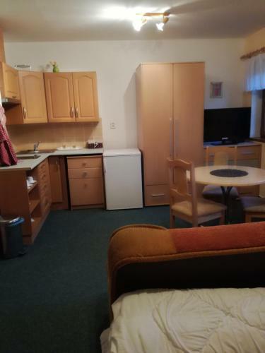 Hostal Penzion Skicentrum Studenov