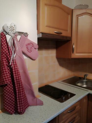 Hostal Penzion Skicentrum Studenov