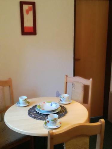 Hostal Penzion Skicentrum Studenov