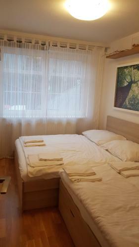 Rokytka Apartm�n 217