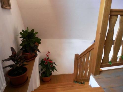 Hostal Apartm�ny U Sv. Flori�na