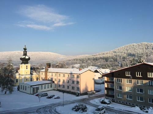 Apartm�n U Lesa, Srn� 119