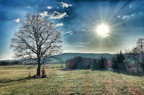D?ev?n� Pr�zdninov� Domek Sunrise