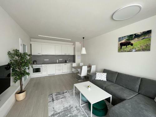 Apartm�n Darsinka