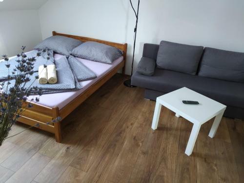 Hostal Penzion Levandule A Palava