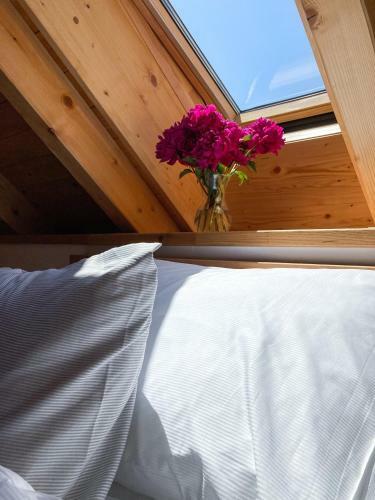 Hostal H�jenka Pod V?trn�ky
