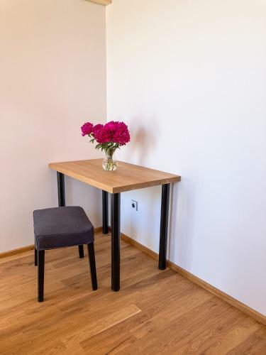 Hostal H�jenka Pod V?trn�ky