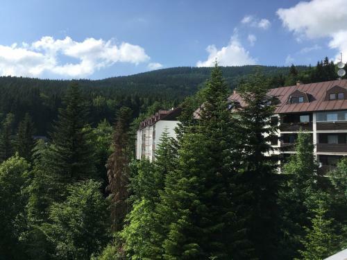 Holiday Apartment Spindleruv Mlyn