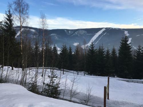Holiday Apartment Spindleruv Mlyn