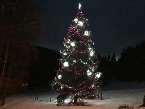 Holiday Apartment Spindleruv Mlyn