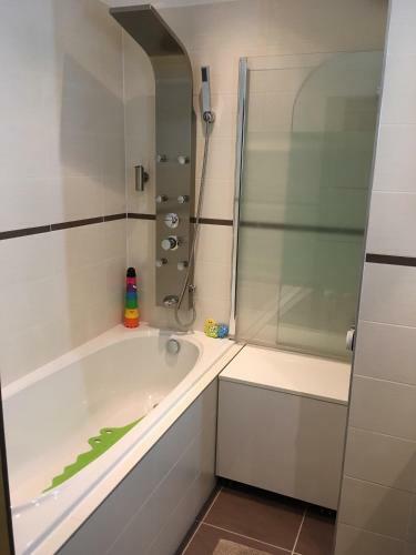 Holiday Apartment Spindleruv Mlyn