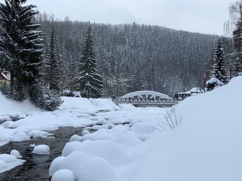 Savoy Exclusive Mountain Apartment