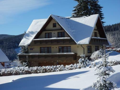 Hostal Apartm�ny Aspen