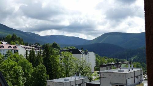 Apartm�n Bed?ichov, ?pindler?v Ml�n