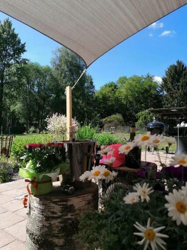 Apartamento Auszeit Am Moor