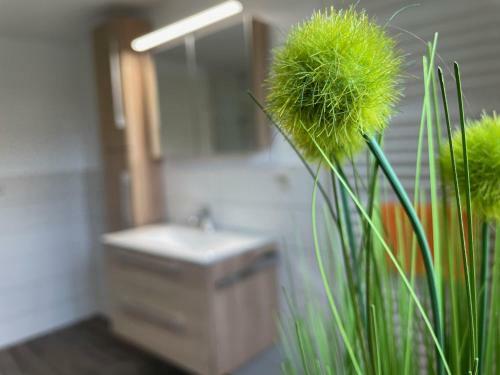 Apartamento Naturcamp Duvendiek Fewo