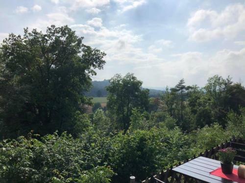Hotel Dein Dornig