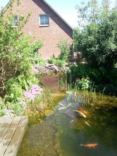 Apartamento Fiedler-leskien