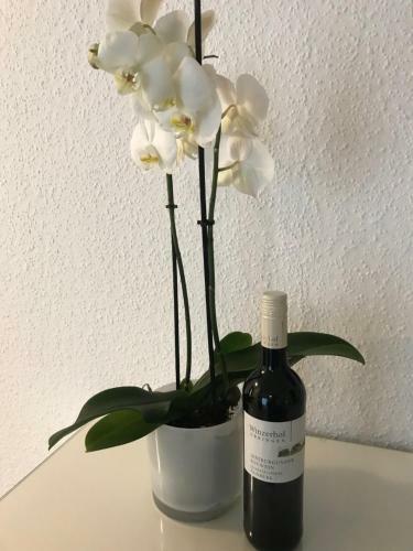 Apartamento Ferienwohnung Gasser