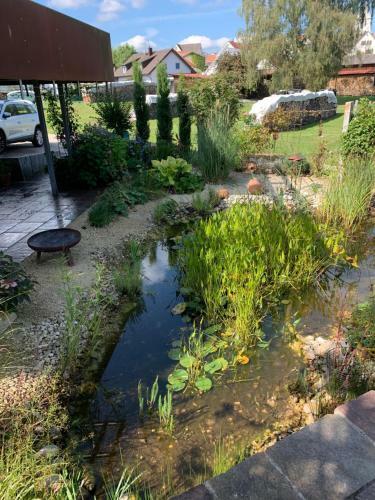 Apartamento Kleine Schwarzwaldlodge