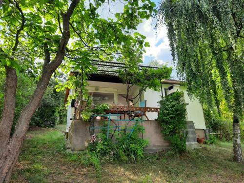 Haus Im Gr�nen Meer