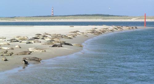 Apartamento Appartement Aphrodite Amelander-kaap