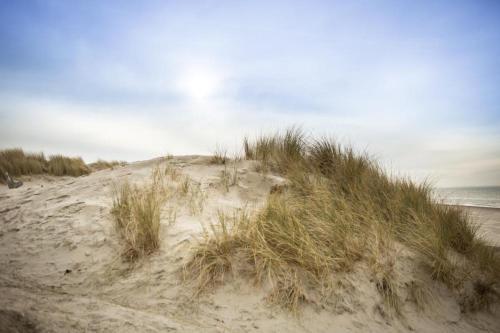 Apartamento Weidevilla 14 Auf Ameland